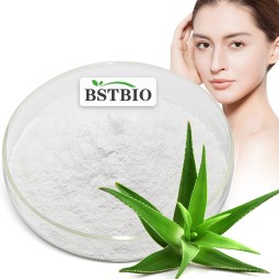 高品质散装化妆品级价格芦荟凝胶Vera粉末200x 100x冷冻干燥芦荟提取物粉末食品白色粉末