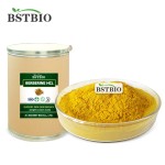 BSTBIO Supplements Berberine HCL Extract Powder 97% Berberine Hydrochloride