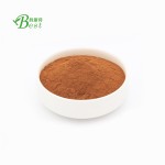 营养食品调味粉灵芝粉/灵芝粉/灵芝粉