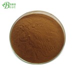 OEM 6合1灵芝狮子鬃毛长衣冬虫夏草舞茸蘑菇咖啡
