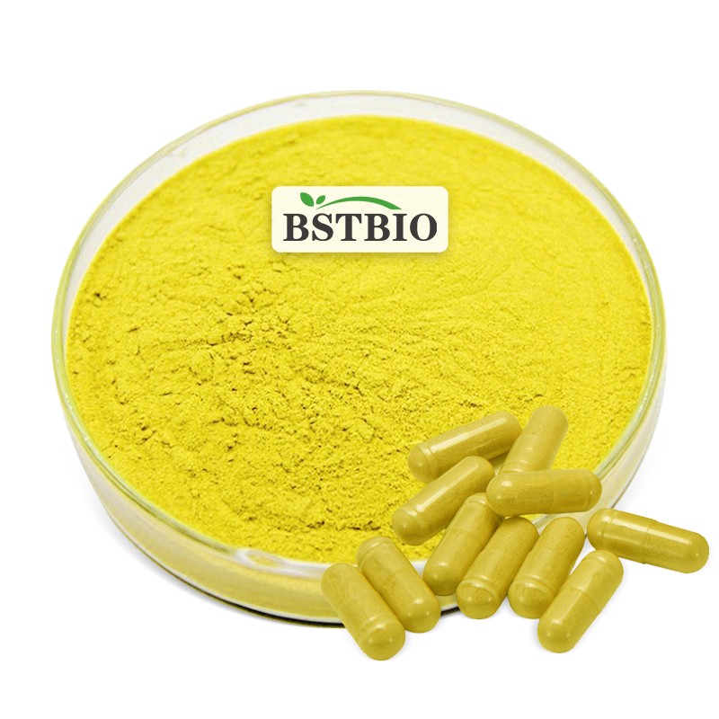 BSTBIO Supplements CAS 528-48-3 98% Fisetin Powder