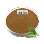 BSTBIO纯天然马尾提取物粉7%有机二氧化硅