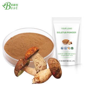 High Grade Soup Powder Seasoning Boletus Mushroom Powder Flavouring/boletus Edulis Powder/porcini Powder Dried Seafood 30%