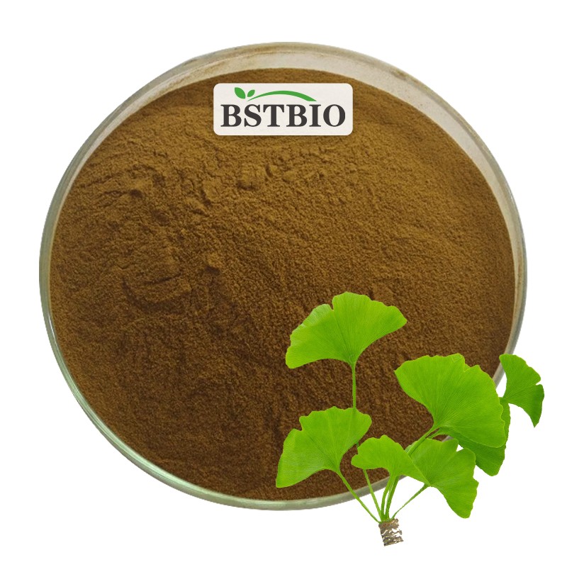 Pure Ginkgo Biloba Leaf Extract/Ginkgo Biloba Extract Biloba Extract Powder Leaf HPLC Drum Food EGB 761 24% 6% 5%/Ginkgo
