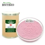 BSTBIO天然有机冻干西瓜粉