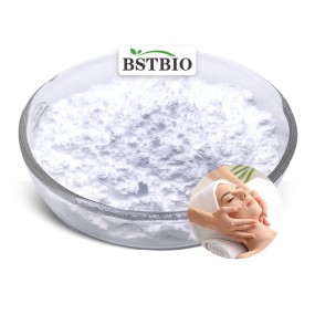 BSTBIO Factory Price Bulk Cosmetic Grade Salmon PDRN Powder