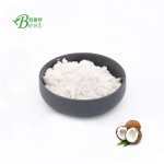 高档Mct粉/ Mct油粉70%