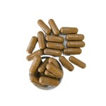 批发蘑菇多糖β葡聚糖补充胶囊12IN1胶囊1000MG蘑菇提取物胶囊