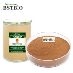 BSTBIO康普茶提取物速溶红茶康普茶粉末