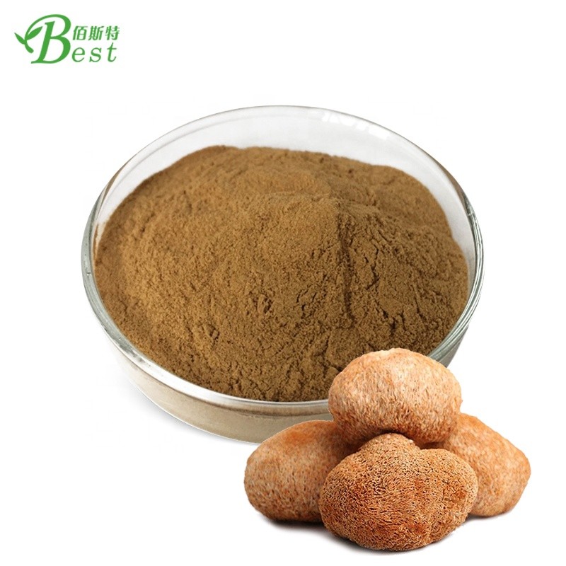High Quality Lion's Mane Mushroom Extract/bulk Hericium Erinaceus Extract