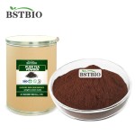 BSTBIO后发酵普洱茶提取物速溶普洱茶粉