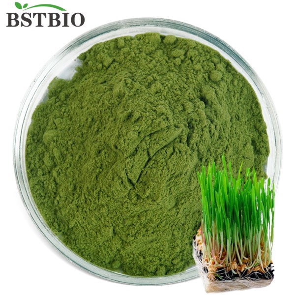 BSTBIO美国/欧盟有机小麦草汁粉