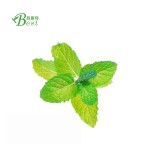 免费样品批发价格猫薄荷/猫薄荷提取物/猫薄荷提取物10:1