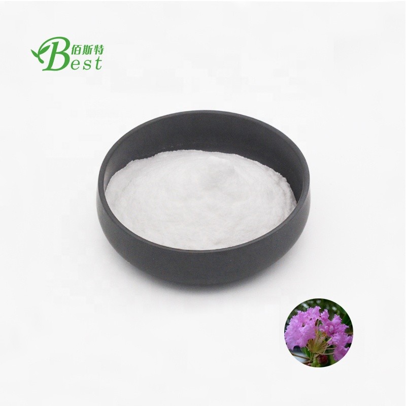Wholesale Price Banaba Leaf Extract Powder Corosolic Acid  98%