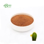 天然胡迪亚仙人掌植物/刺梨果提取物粉末10:1