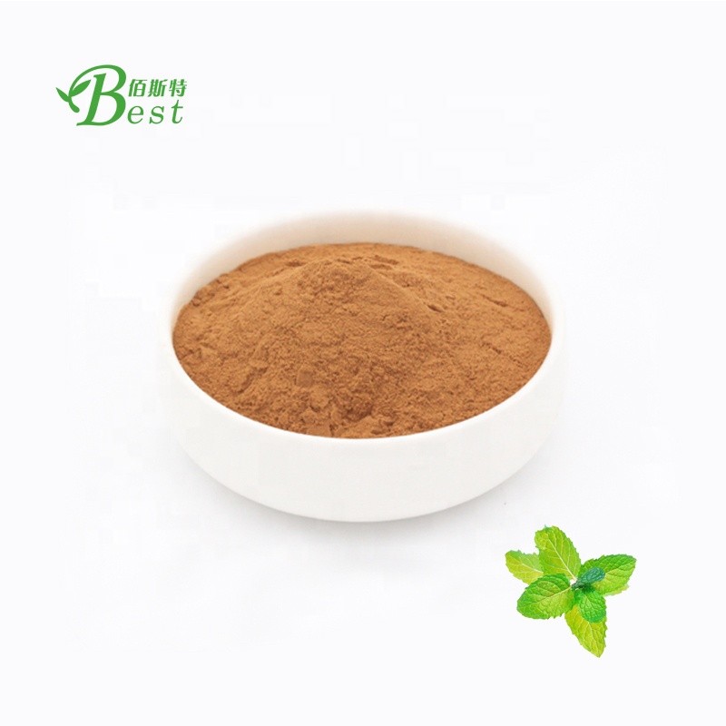 Free Sample Wholesale Price Catmint / Catnip Extract / Nepeta Cataria Extract 10:1