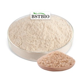 High Quality Food Grade Organic Brown Rice Protein Powder NO-GMO