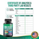 Oem热缝胶囊海苔Shilajit Ashwagandha人参银杏叶胶囊