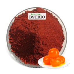 BSTBIO胡萝卜红饲料添加剂角黄素10%胡萝卜红粉