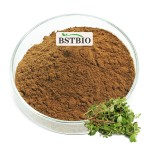 BSTBIO食品级假马齿苋叶提取物粉末20% 50% 55%假马齿苋皂苷