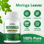 BSTBIO OEM草药补充剂辣木油叶提取物有机辣木胶囊