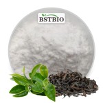 茶提取物表儿茶素粉末高效液相色谱野生鼓散装工厂供应纯绿色98%的鸡蛋茶多酚绿色