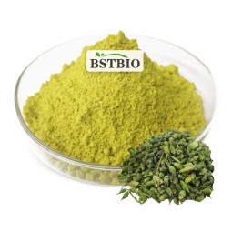 BSTBIO 100%天然补充苦参提取物粉95%槲皮素二水
