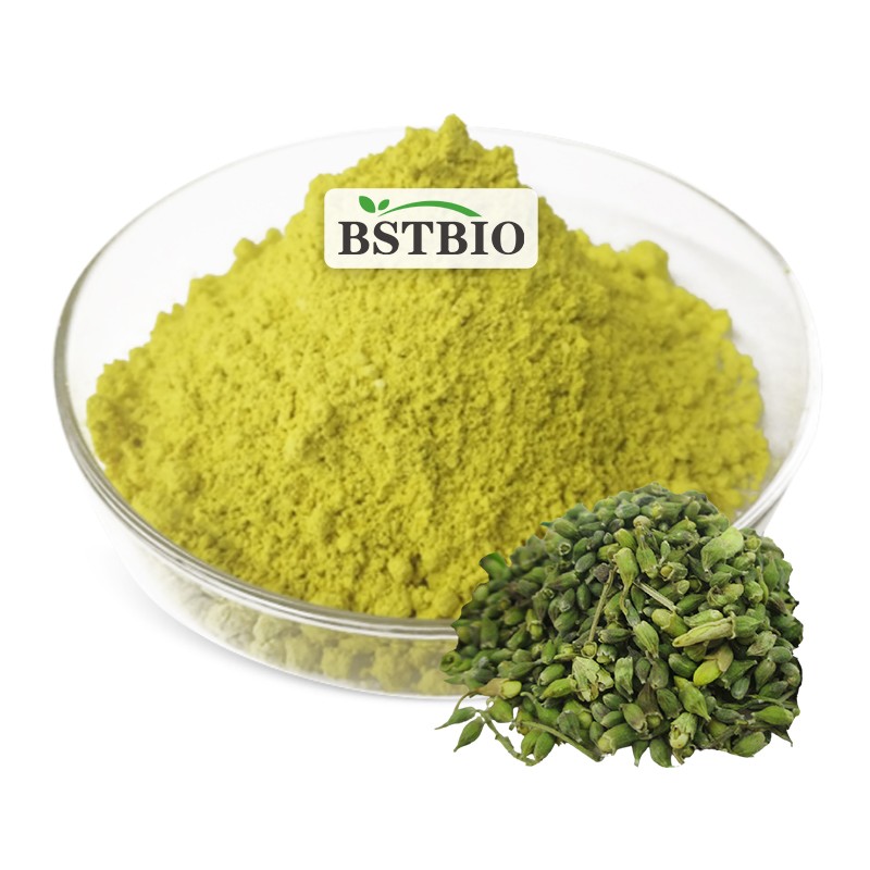 BSTBIO 100% Natural Supplement Sophora Japonica Extract Powder 95% Quercetin Dihydrate