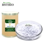 BSTBIO健康补充剂胆碱甘油磷酸CAS 28319-77-9 99% Alpha GPC粉末
