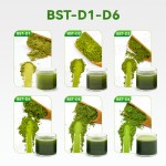 BSTBIO私人标签饮料饮料等级50克100克500克每袋有机抹茶绿茶粉