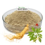 BSTBIO纯人参提取物5%-80%人参皂苷高丽红参根提取物金高丽红参粉