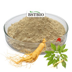 BSTBIO Pure Panax Ginseng Extract 5%-80% Ginsenosides Korean Red Ginseng Root Extract Gold Korean Red Ginseng Powder