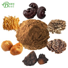 OEM 6 in 1 Reishi  Lions Mane  Chaga  Cordyceps  Maitake  Agaricus Blazei Mushroom Coffee