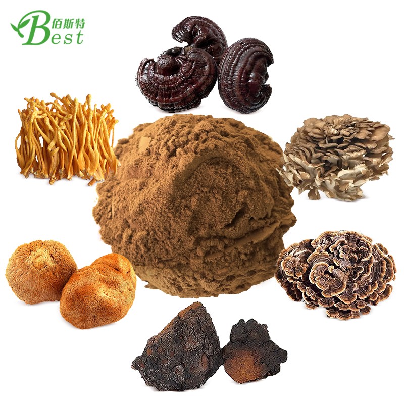 OEM 6 in 1 Reishi  Lions Mane  Chaga  Cordyceps  Maitake  Agaricus Blazei Mushroom Coffee