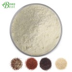 工厂批发藜麦蛋白粉30%藜麦粉