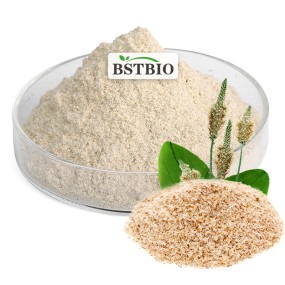 Bulk Price Supply Whole Psyllium Husks 500g Psyllium Husk Powder 95% 99% 98%