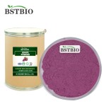 BSTBIO供应食品级红葡萄果汁粉，冷冻干燥有机葡萄粉