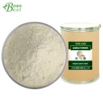 工厂批发藜麦蛋白粉30%藜麦粉