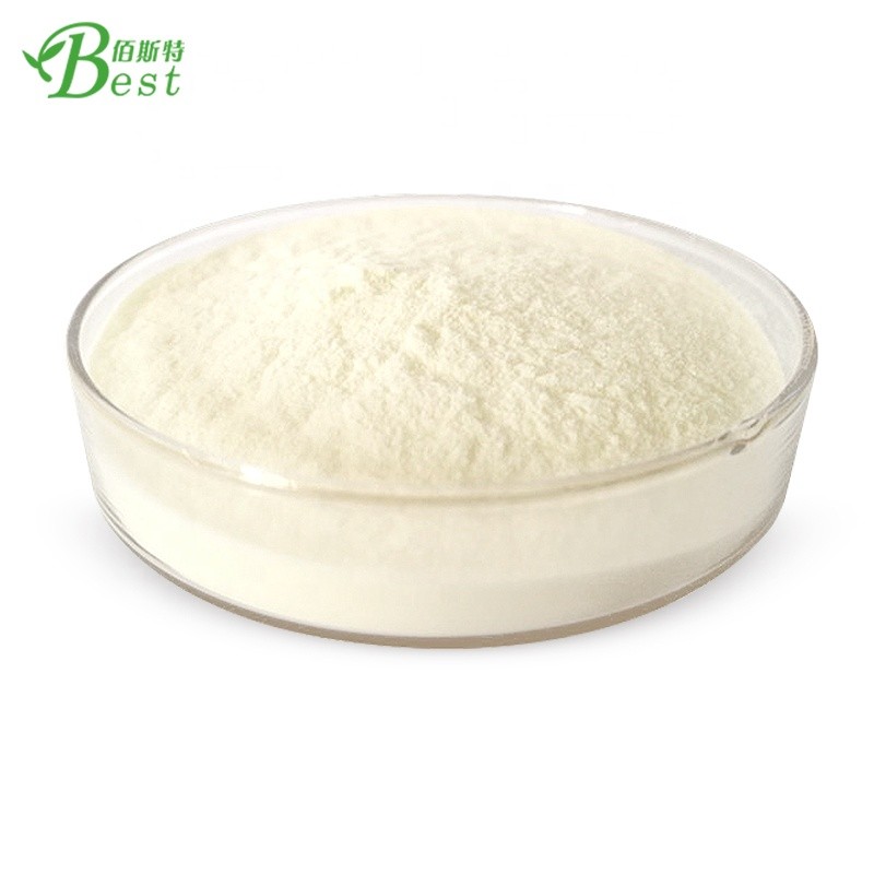 High Quality Pure Food Grade Fish Oil Dha Powder Capsule DHA Algal Oil Powder