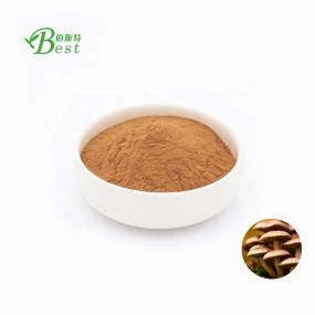 Mushroom Flavor Powder Honey Mushroom Powder/armillaria Powder/armillaria Mellea Powder Dried Egg Powder Mycelium Food Grade Raw