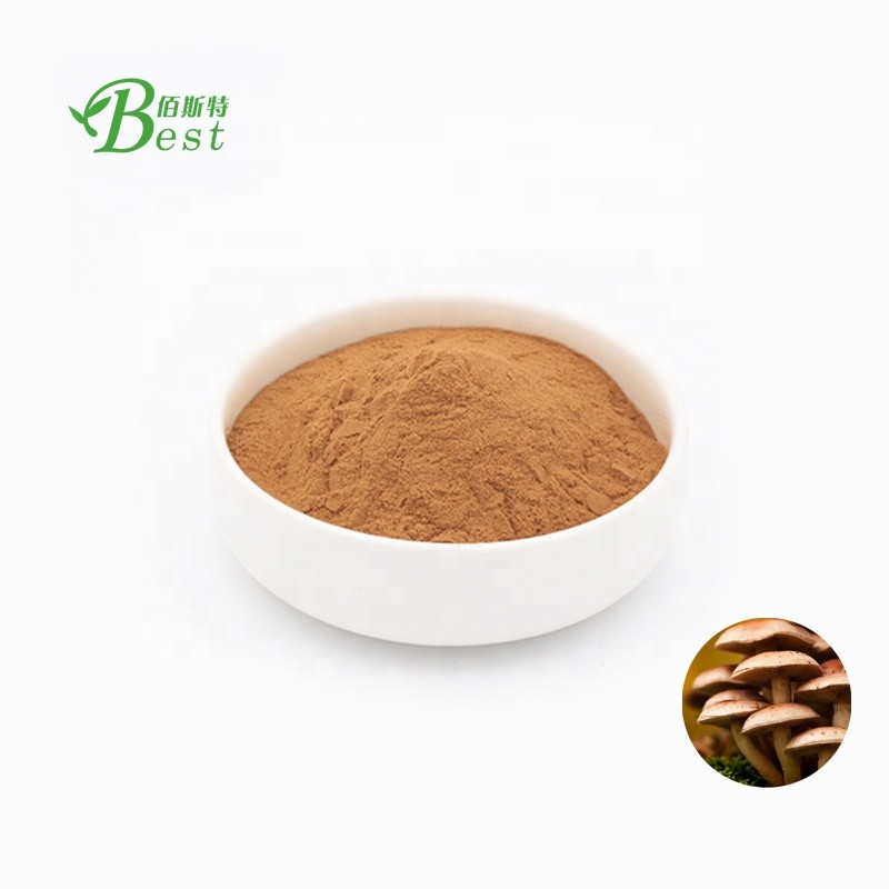 Mushroom Flavor Powder Honey Mushroom Powder/armillaria Powder/armillaria Mellea Powder Dried Egg Powder Mycelium Food Grade Raw