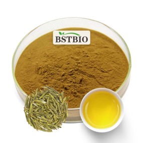 工厂供应速溶白茶粉有机茶100%纯