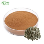最畅销的灌木贞子果提取物/贞子提取物粉末