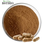 100%纯灵芝提取物粉末/灵芝提取物/ 10:1灵芝提取物粉末