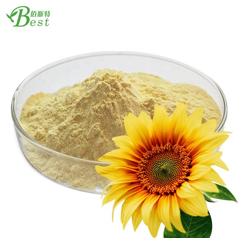 Wholesale High Quality Chinese Sunflower Seeds Sunflower Seed Sprout Protein Extract Powder