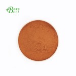 营养食品调味粉灵芝粉/灵芝粉/灵芝粉