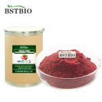 BSTBIO工厂供应草莓果粉，冷冻干草莓粉