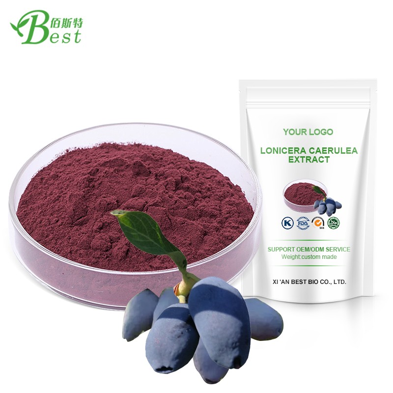 100% Natural Lonicera Caerulea Extract Powder 15% 25% Anthocyanins