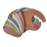 Feeding Set Manufacturer - Food Grade Complete Bpa Free