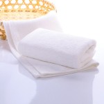 Beach Towel Supplier - High Quality Microfiber